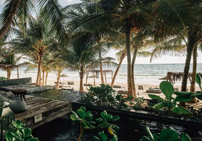 Fotos del hotel Nomade Tulum:  4