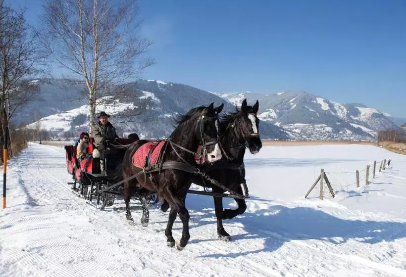 Fotos del hotel Pension Patricia:  5