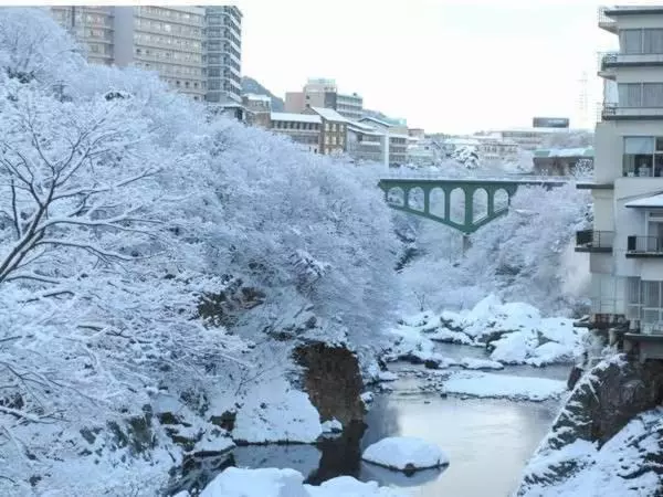 Fotos del hotel Oyado Ichifuji:  8