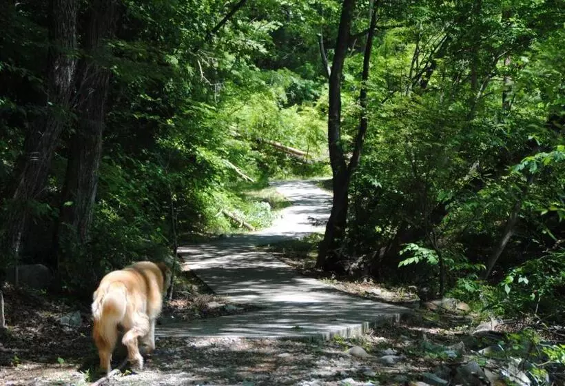 Fotos del hotel Oyado Ichifuji:  7