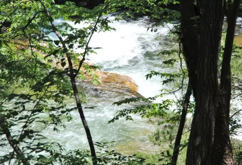 Fotos del hotel Oyado Ichifuji:  17