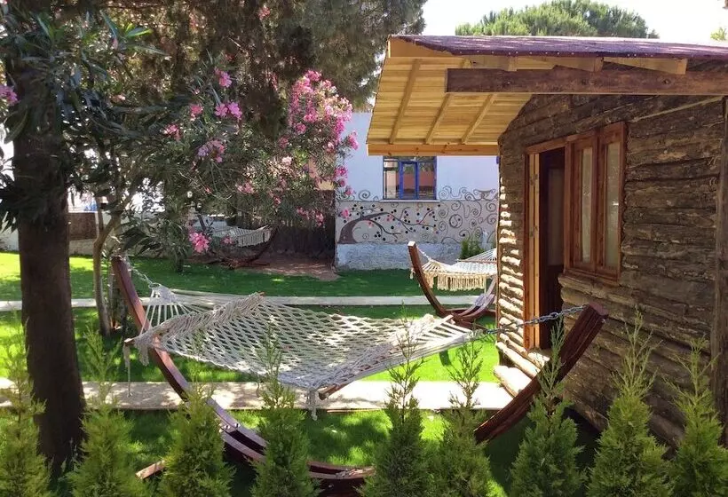 Fotos del hotel Pitos Bungalows:  4