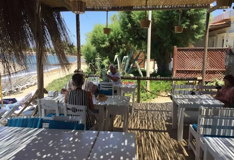 Fotos del hotel Pitos Bungalows:  10