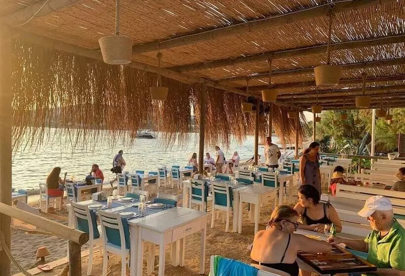 Fotos del hotel Pitos Bungalows:  8