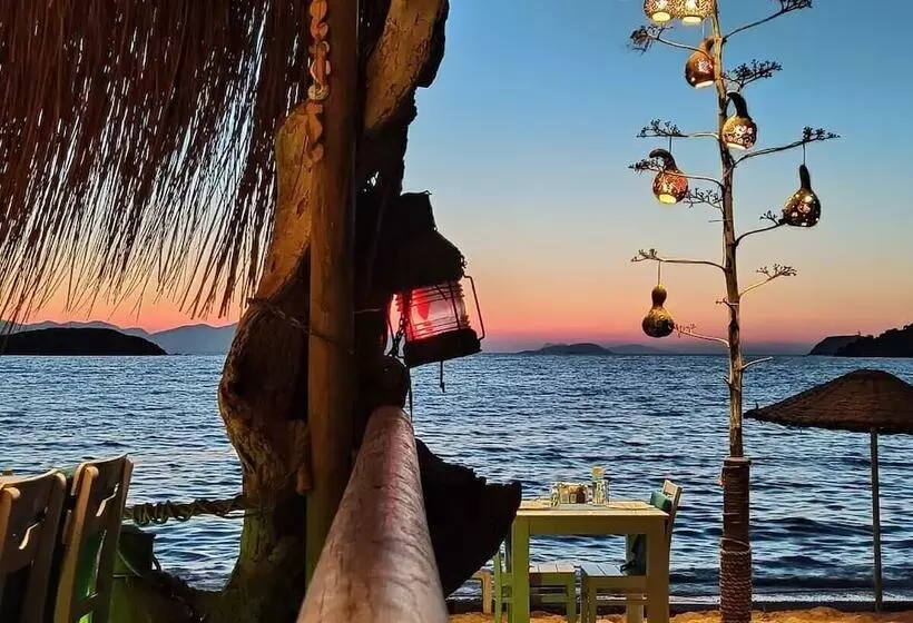 Fotos del hotel Pitos Bungalows:  6