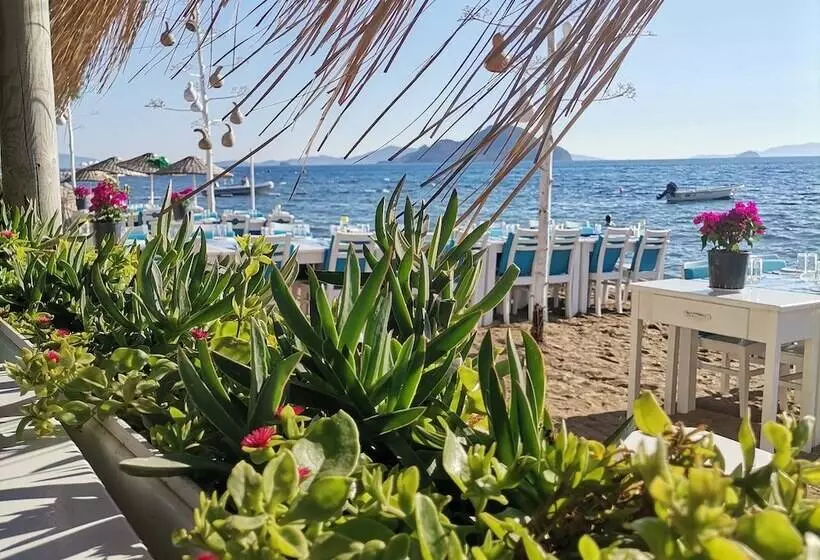 Fotos del hotel Pitos Bungalows:  23