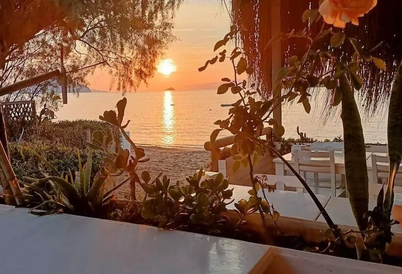 Fotos del hotel Pitos Bungalows:  15