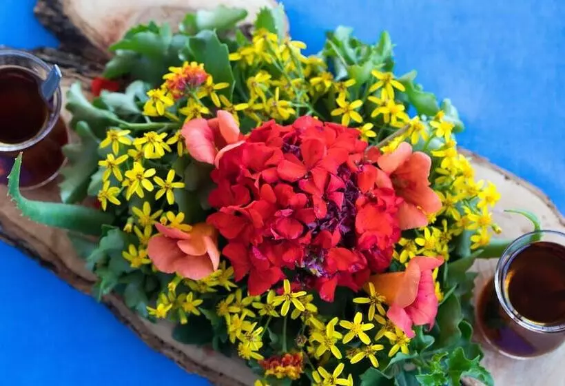 Fotos del hotel Pitos Bungalows:  5