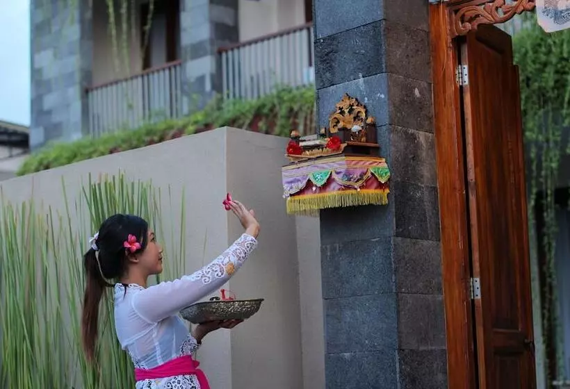 Fotos del hotel Vansari:  11