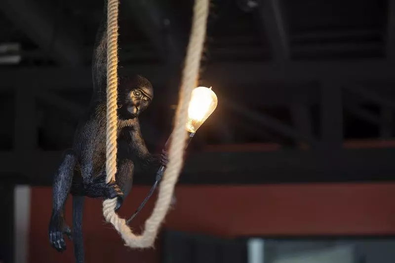 Fotos del hotel Villa San Ignacio:  8