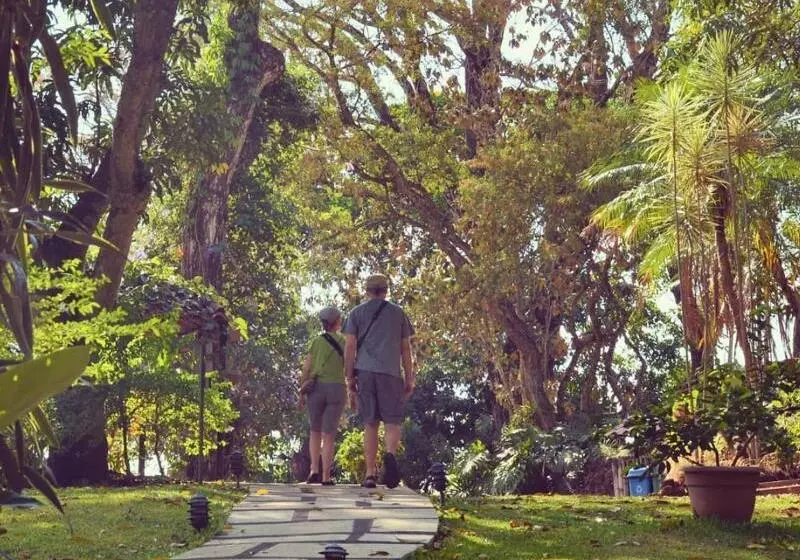 Fotos del hotel Villa San Ignacio:  9