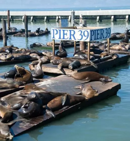 Fotos del hotel Calista Organic:  25