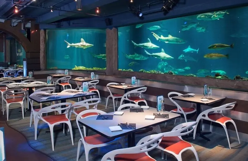 Fotos del hotel Staybridge Suites Orlando At Seaworld, An Ihg:  16