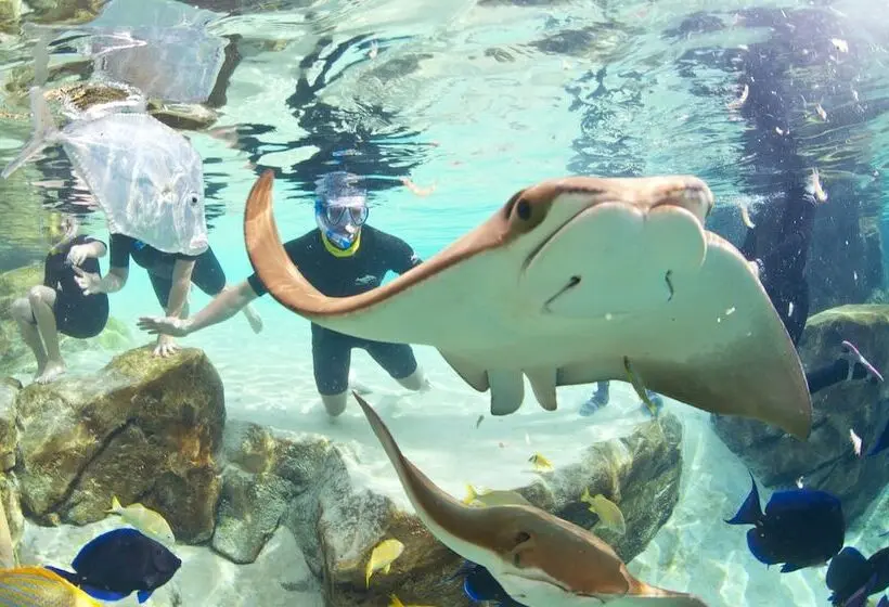 Fotos del hotel Staybridge Suites Orlando At Seaworld, An Ihg:  21