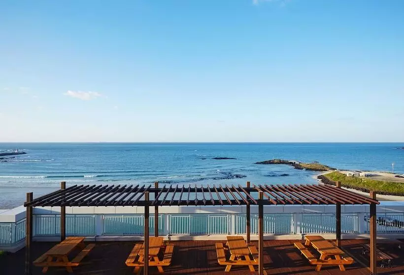 Fotos del hotel Artstay Hamdeok Beach:  14