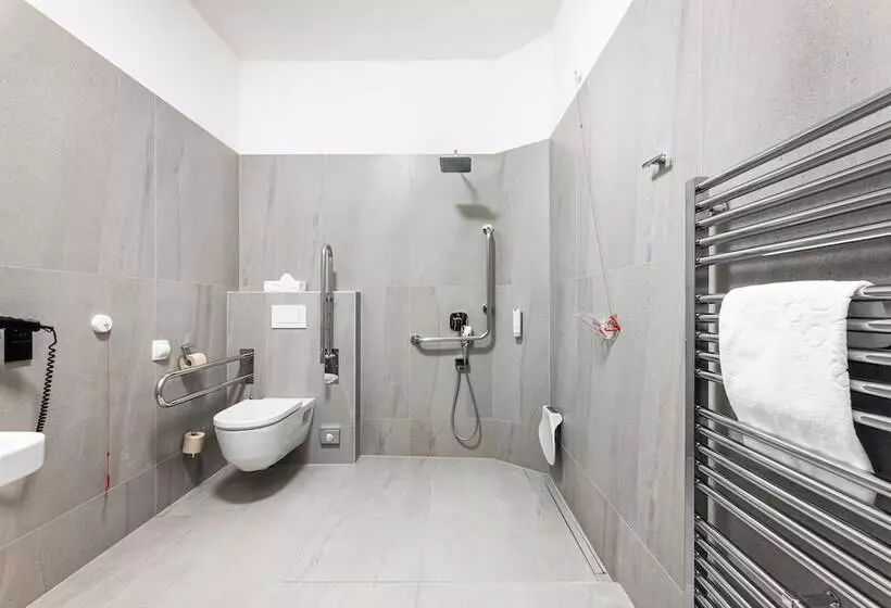 Fotos del hotel Theresian:  6