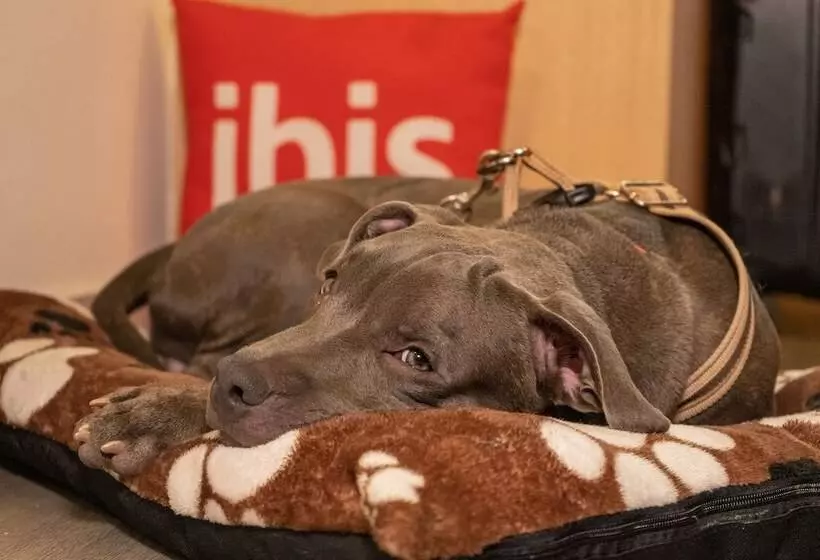Fotos del hotel Ibis Cartagena Marbella:  8