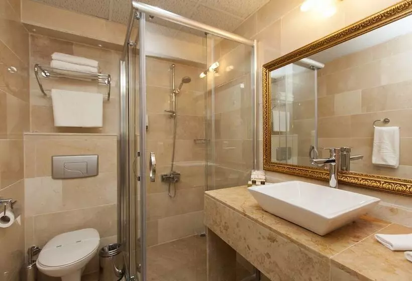 Fotos del hotel Alrazi  Florya:  10