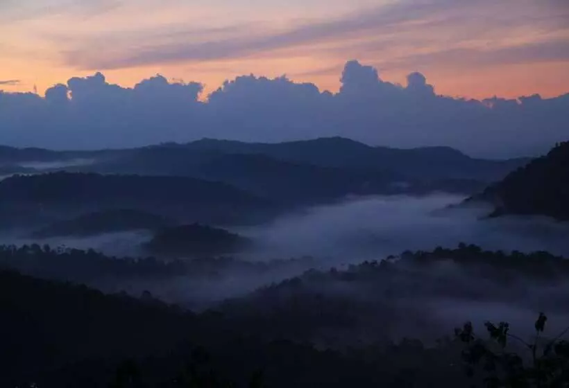 Fotos del hotel Green Trees Munnar:  4