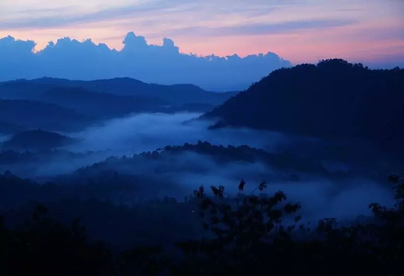 Fotos del hotel Green Trees Munnar:  6