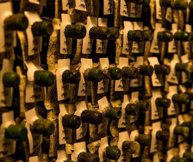 Fotos del hotel Wein Genuss Pössnitzberg Hotel Leutschach:  9