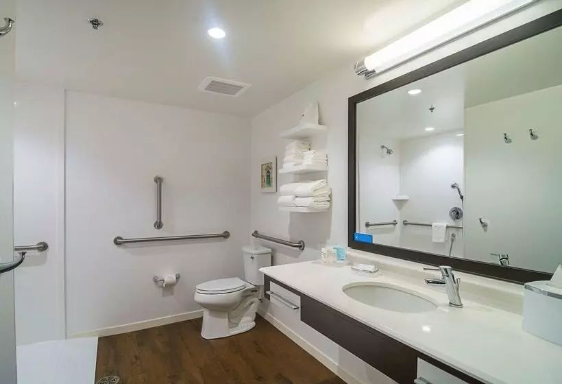 Fotos del hotel Hampton Inn Chicago North-loyola Station:  15