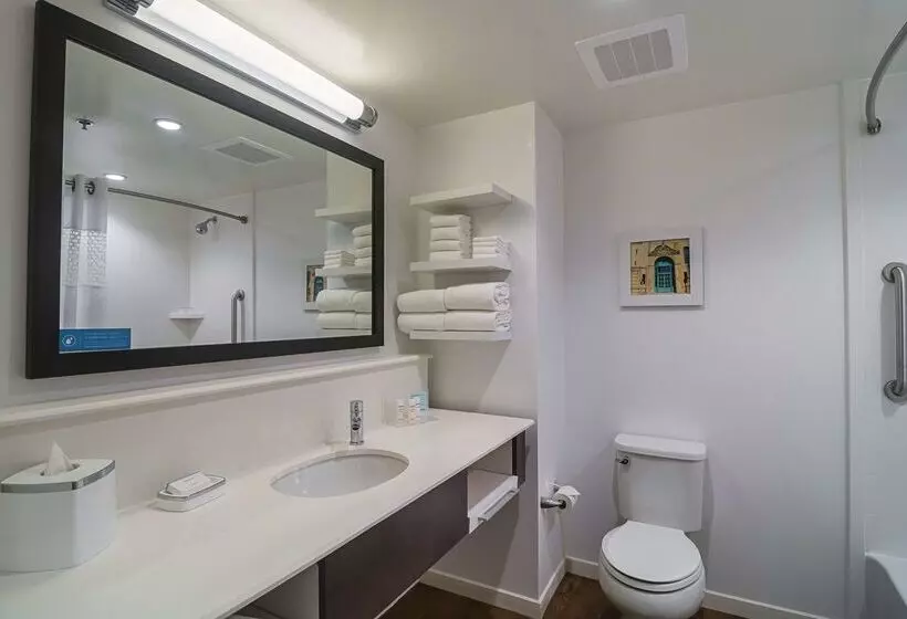 Fotos del hotel Hampton Inn Chicago North-loyola Station:  6