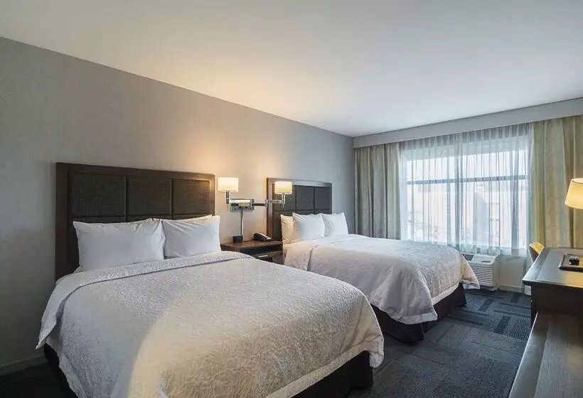 Fotos del hotel Hampton Inn Chicago North-loyola Station:  22