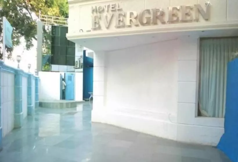 Fotos del hotel Evergreen:  9