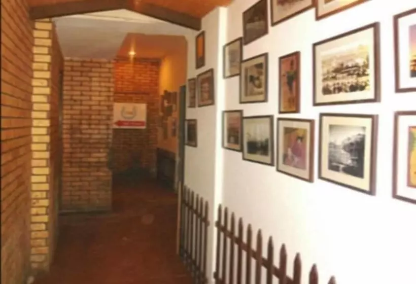 Fotos del hotel Evergreen:  15