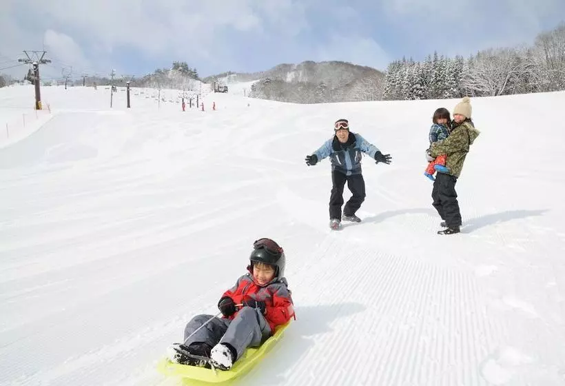 Fotos del hotel Hakuba Paipu No Kemuri:  23