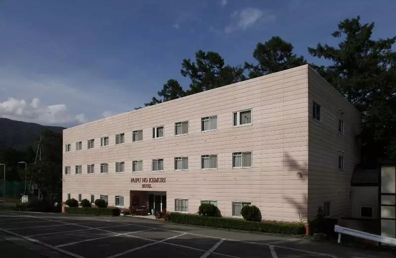 Fotos del hotel Hakuba Paipu No Kemuri:  9