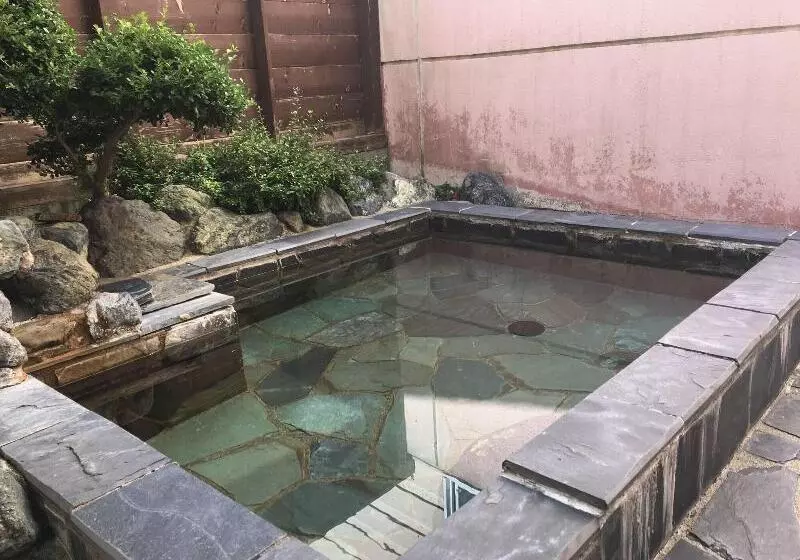 Fotos del hotel Hakuba Paipu No Kemuri:  3