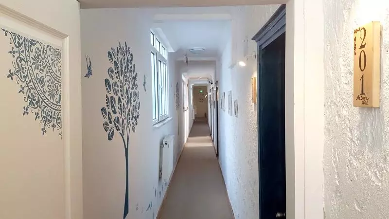 Fotos del hotel Aladeniz:  11