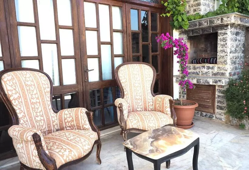 Fotos del hotel Villa Panorama:  5
