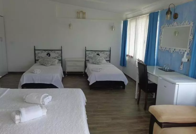 Fotos del hotel Villa Panorama:  8