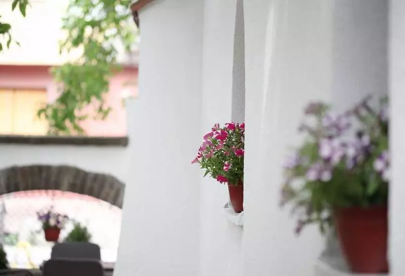 Fotos del hotel Garni  Dum:  21
