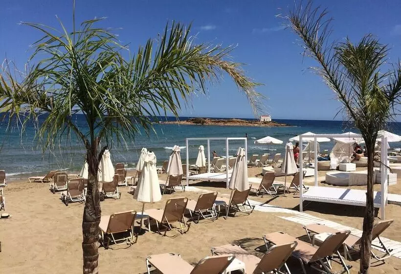 Fotos del hotel Artemis Bay By Checkin:  9