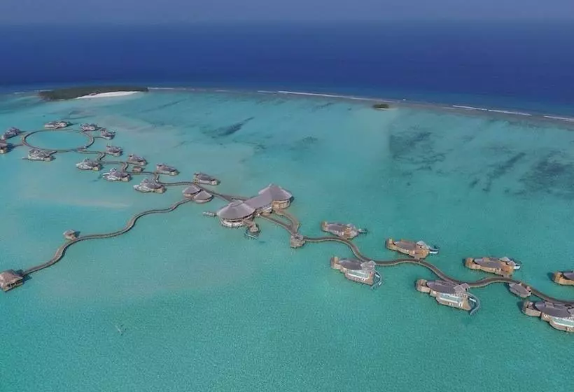 Fotos del hotel Soneva Jani:  16
