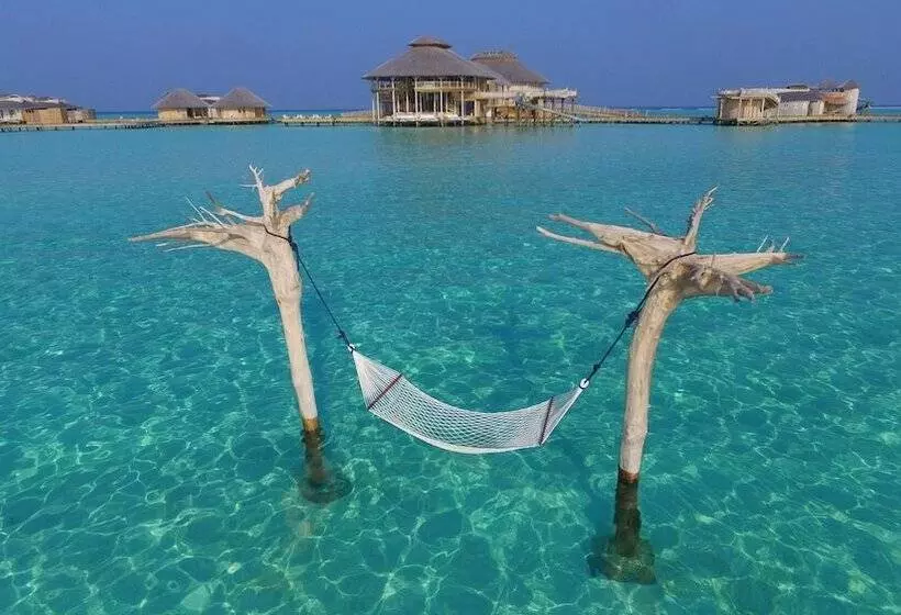 Fotos del hotel Soneva Jani:  11