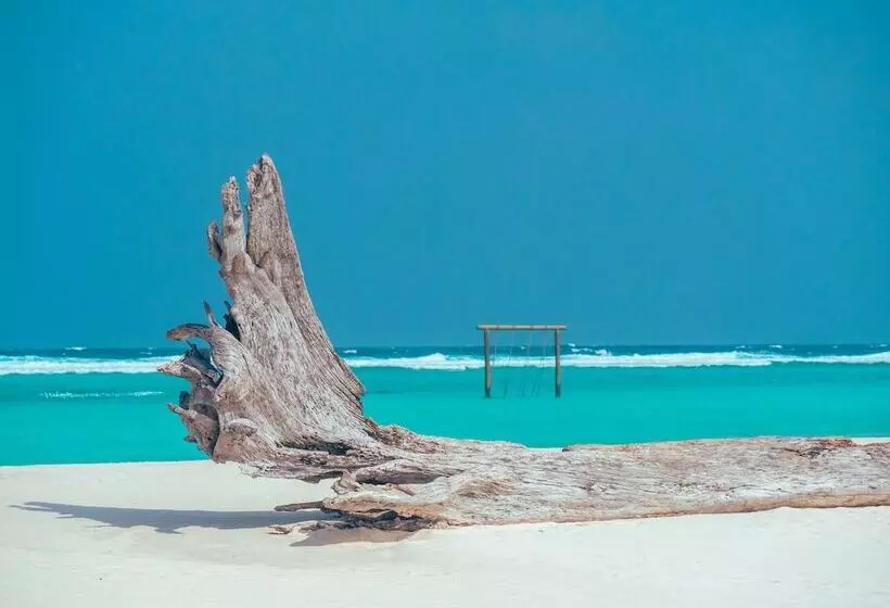 Fotos del hotel Soneva Jani:  21
