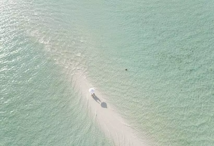 Fotos del hotel Soneva Jani:  19