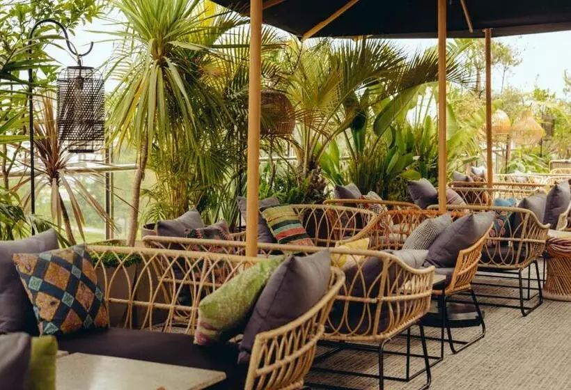 Fotos del hotel Onomo  Rabat Terminus:  4