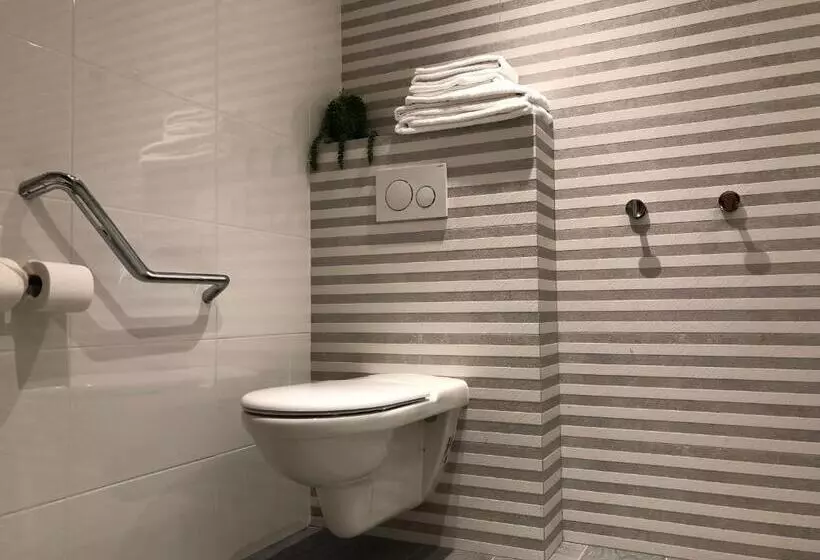 Fotos del hotel Villa Rose:  6