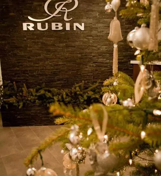 Fotos del hotel Apartamenty Rubin:  21