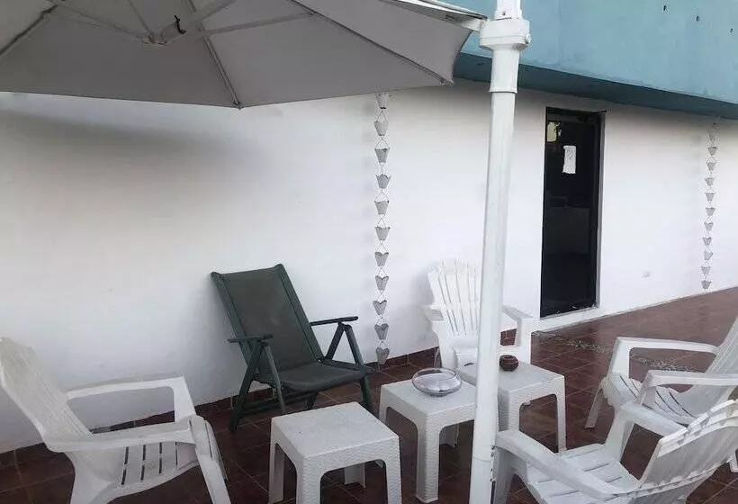 Fotos del hotel Señorial:  5