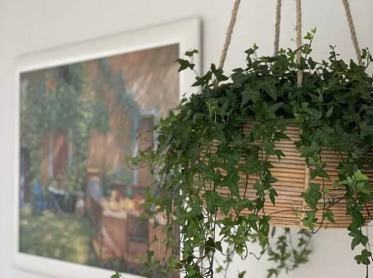Fotos del hotel Bed And Breakfast Amsterdam:  10