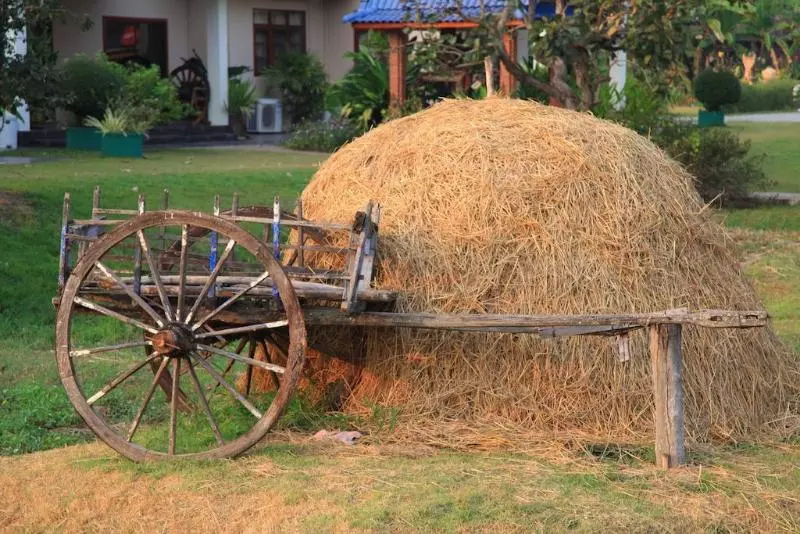 Fotos del hotel The Ricefields:  10