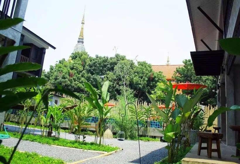 Fotos del hotel Nawa Sheeva:  5