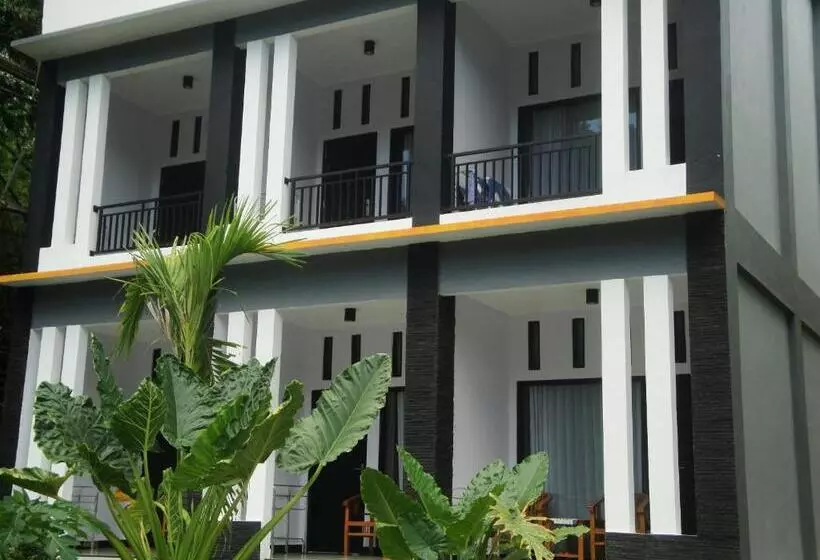 Fotos del hotel Cf Komodo:  25